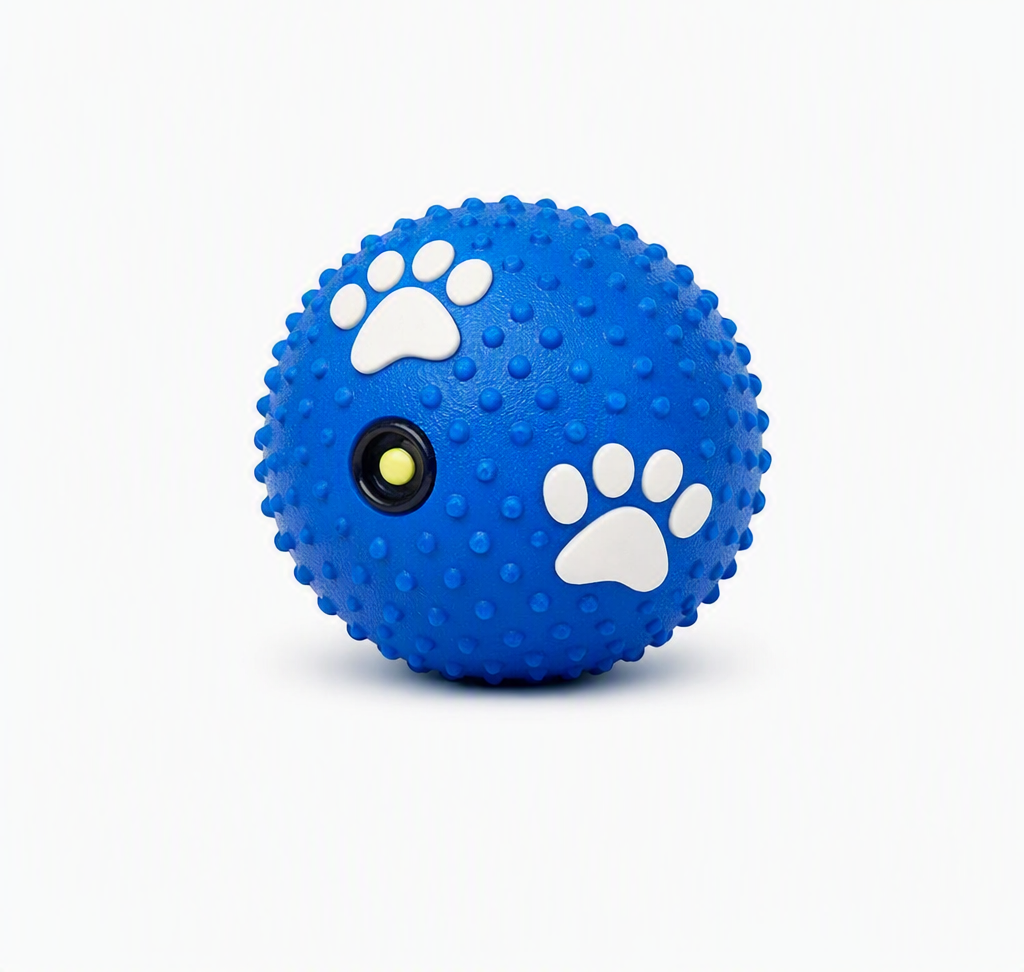 Squeaky Bounce Ball